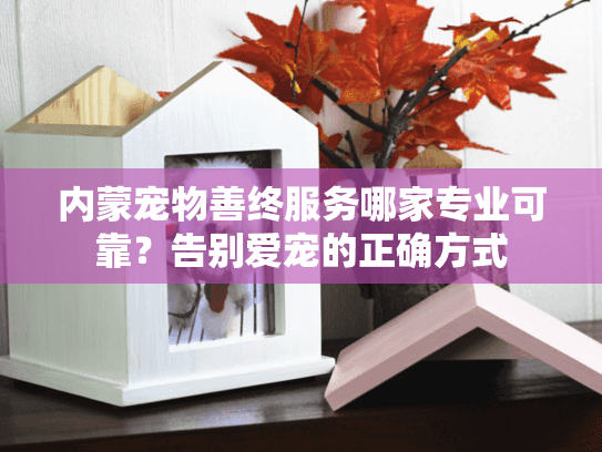 内蒙宠物善终服务哪家专业可靠？告别爱宠的正确方式
