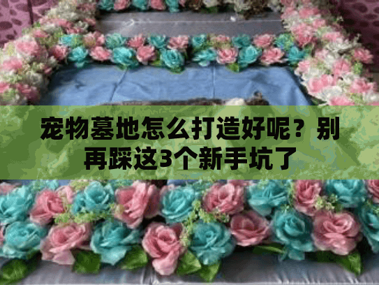 宠物墓地怎么打造好呢？别再踩这3个新手坑了