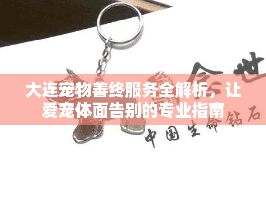大连宠物善终服务全解析，让爱宠体面告别的专业指南