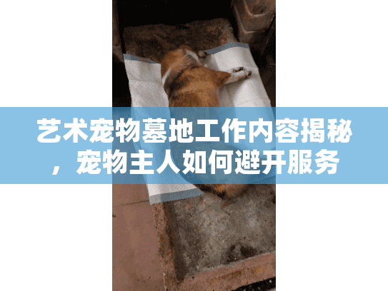 艺术宠物墓地工作内容揭秘，宠物主人如何避开服务陷阱和隐藏成本？