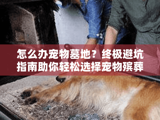 怎么办宠物墓地？终极避坑指南助你轻松选择宠物殡葬服务