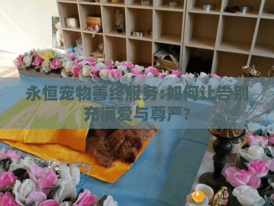永恒宠物善终服务:如何让告别充满爱与尊严?