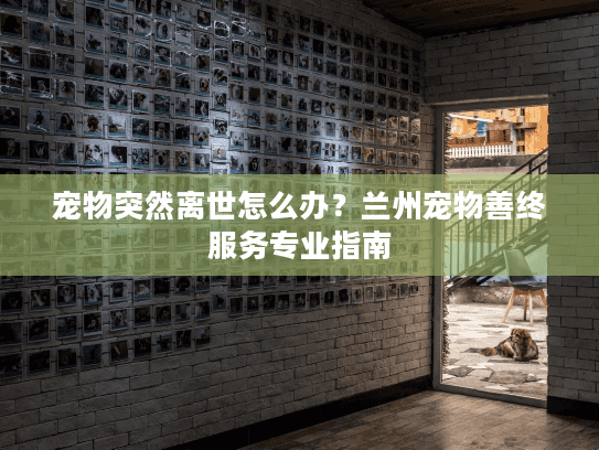 宠物突然离世怎么办？兰州宠物善终服务专业指南