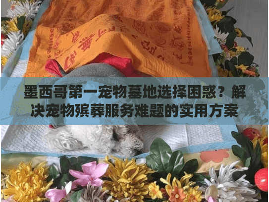 墨西哥第一宠物墓地选择困惑？解决宠物殡葬服务难题的实用方案