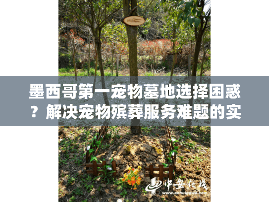 墨西哥第一宠物墓地选择困惑？解决宠物殡葬服务难题的实用方案