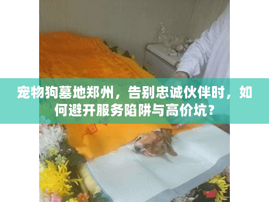 宠物狗墓地郑州，告别忠诚伙伴时，如何避开服务陷阱与高价坑？