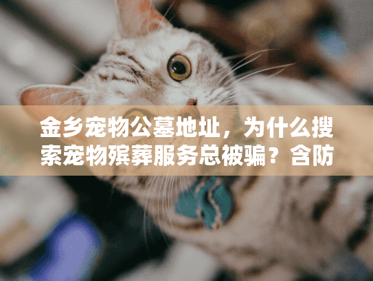 金乡宠物公墓地址，为什么搜索宠物殡葬服务总被骗？含防坑指南）