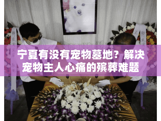 宁夏有没有宠物墓地？解决宠物主人心痛的殡葬难题