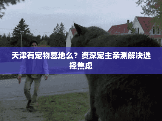 天津有宠物墓地么？资深宠主亲测解决选择焦虑