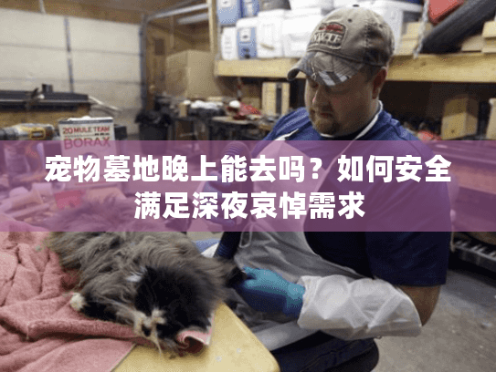 宠物墓地晚上能去吗？如何安全满足深夜哀悼需求