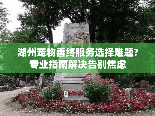 湖州宠物善终服务选择难题?专业指南解决告别焦虑