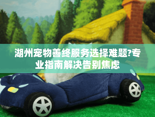 湖州宠物善终服务选择难题?专业指南解决告别焦虑