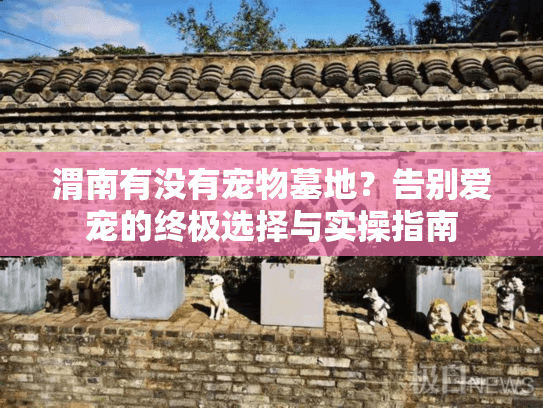 渭南有没有宠物墓地？告别爱宠的终极选择与实操指南