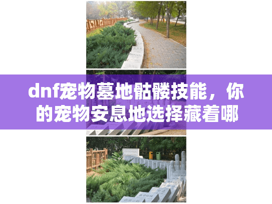 dnf宠物墓地骷髅技能，你的宠物安息地选择藏着哪些陷阱？揭秘关键规避步骤