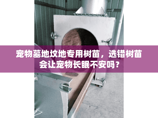 宠物墓地坟地专用树苗，选错树苗会让宠物长眠不安吗？