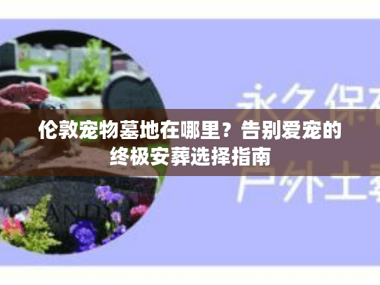 伦敦宠物墓地在哪里?告别爱宠的终极安葬选择指南 伦敦宠物墓地在哪里?告别爱宠的终极安葬选择指南