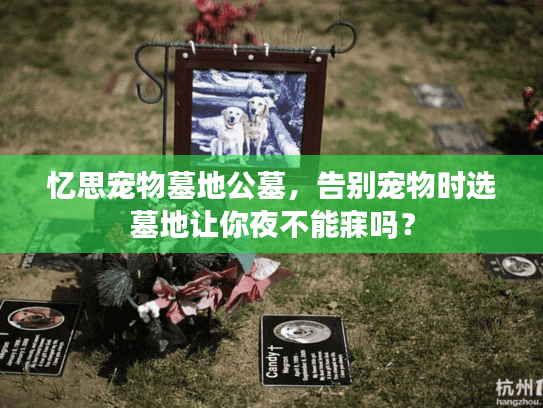忆思宠物墓地公墓，告别宠物时选墓地让你夜不能寐吗？