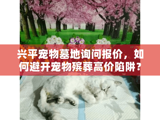 兴平宠物墓地询问报价，如何避开宠物殡葬高价陷阱？