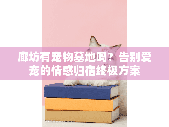 廊坊有宠物墓地吗？告别爱宠的情感归宿终极方案