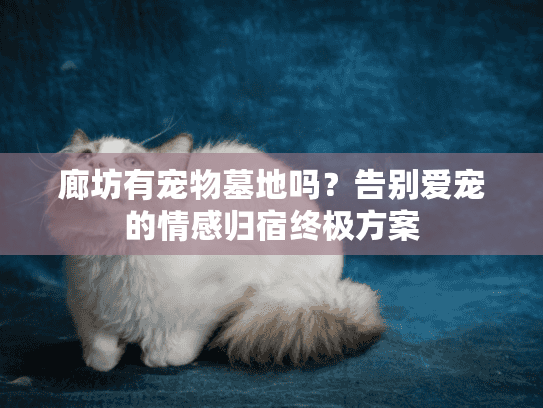 廊坊有宠物墓地吗？告别爱宠的情感归宿终极方案