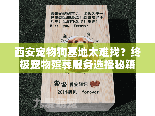 西安宠物狗墓地太难找？终极宠物殡葬服务选择秘籍大公开