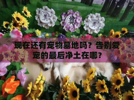 现在还有宠物墓地吗？告别爱宠的最后净土在哪？