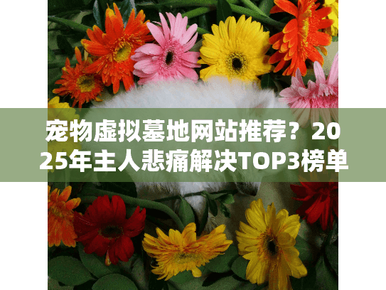 宠物虚拟墓地网站推荐？2025年主人悲痛解决TOP3榜单揭秘