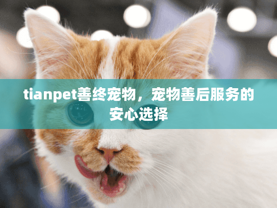 tianpet善终宠物，宠物善后服务的安心选择