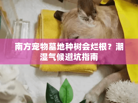南方宠物墓地种树会烂根？潮湿气候避坑指南