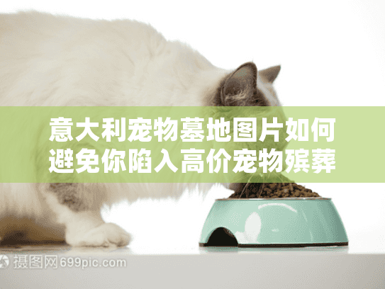 意大利宠物墓地图片如何避免你陷入高价宠物殡葬陷阱？