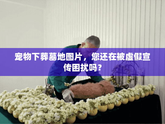 宠物下葬墓地图片，您还在被虚假宣传困扰吗？