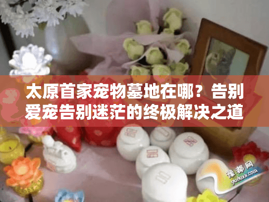 太原首家宠物墓地在哪？告别爱宠告别迷茫的终极解决之道