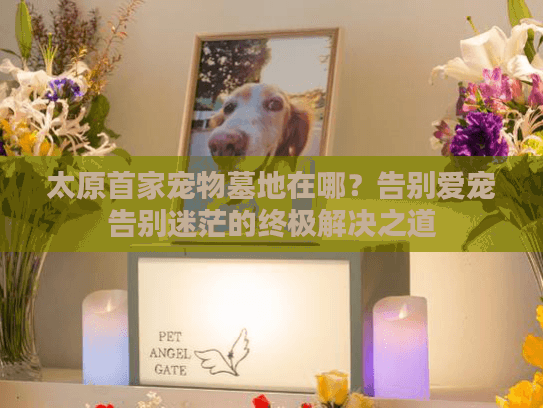太原首家宠物墓地在哪？告别爱宠告别迷茫的终极解决之道