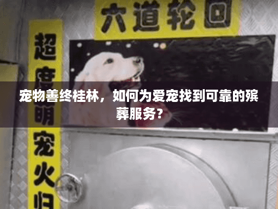 宠物善终桂林，如何为爱宠找到可靠的殡葬服务？