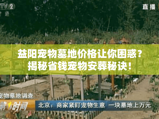 益阳宠物墓地价格让你困惑？揭秘省钱宠物安葬秘诀！