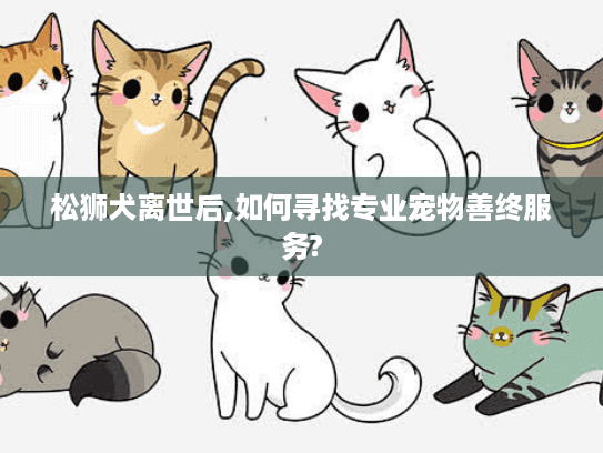 松狮犬离世后,如何寻找专业宠物善终服务?