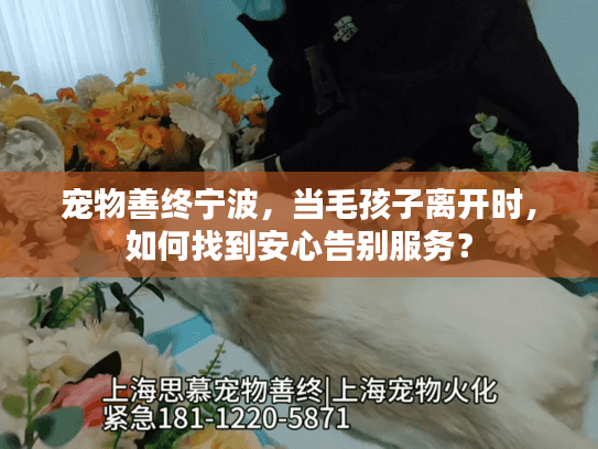 宠物善终宁波，当毛孩子离开时，如何找到安心告别服务？