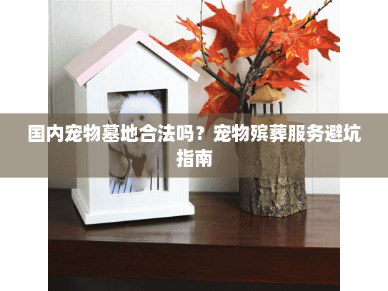 国内宠物墓地合法吗？宠物殡葬服务避坑指南