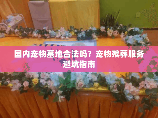 国内宠物墓地合法吗？宠物殡葬服务避坑指南
