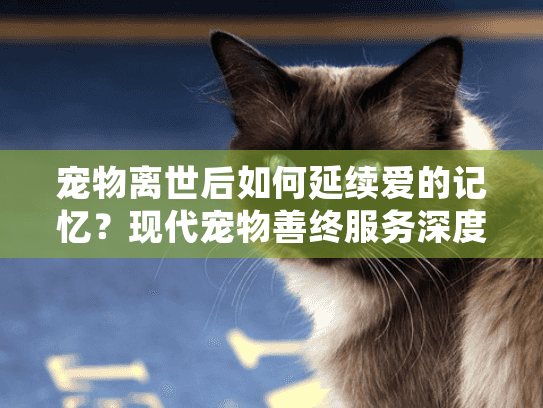 宠物离世后如何延续爱的记忆？现代宠物善终服务深度解析