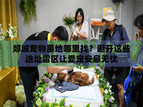 郯城宠物墓地哪里找？避开这些选址雷区让爱宠安息无忧
