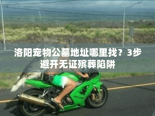 洛阳宠物公墓地址哪里找？3步避开无证殡葬陷阱
