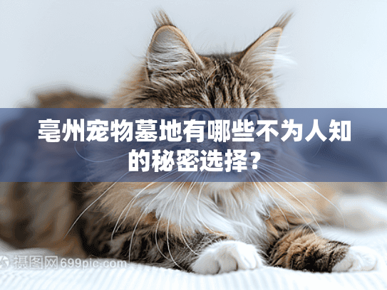 亳州宠物墓地有哪些不为人知的秘密选择？