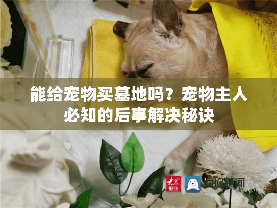 能给宠物买墓地吗？宠物主人必知的后事解决秘诀