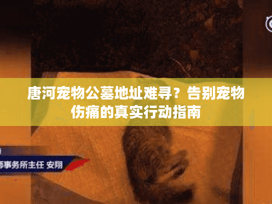 唐河宠物公墓地址难寻？告别宠物伤痛的真实行动指南