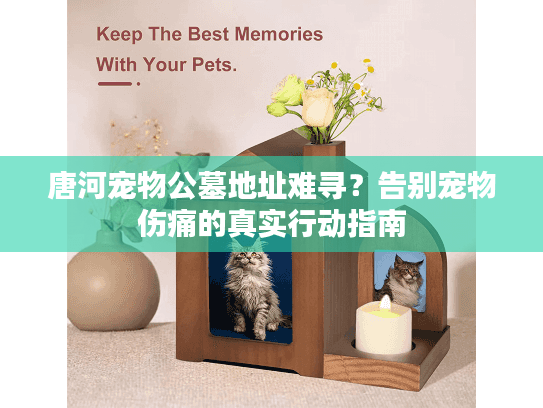 唐河宠物公墓地址难寻？告别宠物伤痛的真实行动指南