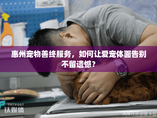 惠州宠物善终服务，如何让爱宠体面告别不留遗憾？