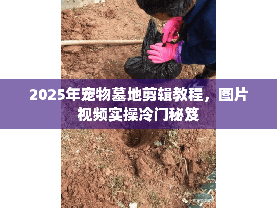 2025年宠物墓地剪辑教程，图片视频实操冷门秘笈