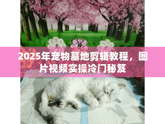 2025年宠物墓地剪辑教程，图片视频实操冷门秘笈