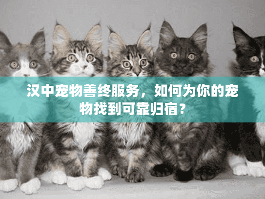 汉中宠物善终服务，如何为你的宠物找到可靠归宿？
